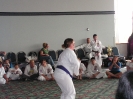 Picture_133