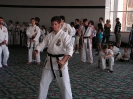 Picture_23