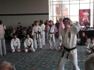 American Okinawan Karate Association