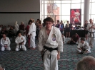 Picture_87