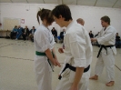 Picture_31