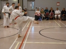 Picture_105