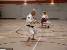 Picture_136