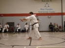 Picture_154