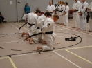 Picture_64