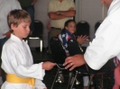 American Okinawan Karate Association
