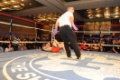 Picture_146