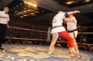Picture_173