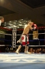 Picture_181