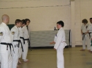 Picture_1