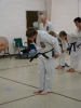 Picture_104