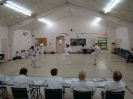 Picture_151