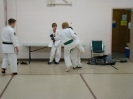 Picture_221
