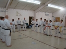 Picture_231