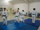 Picture_58