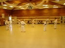 Hanshi Mady Seminars Thunder Bay March 29th, 2008