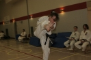 Picture_43